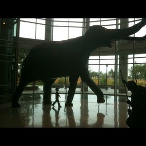 Meet your Posher, Lyndsey